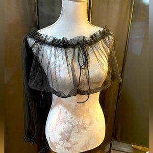 Celebrity Medium Sheer Long Sleeve Crop Top